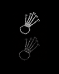 Skeleton Hand
